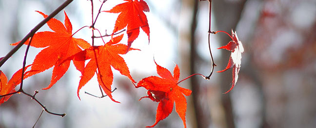 Fall2012
